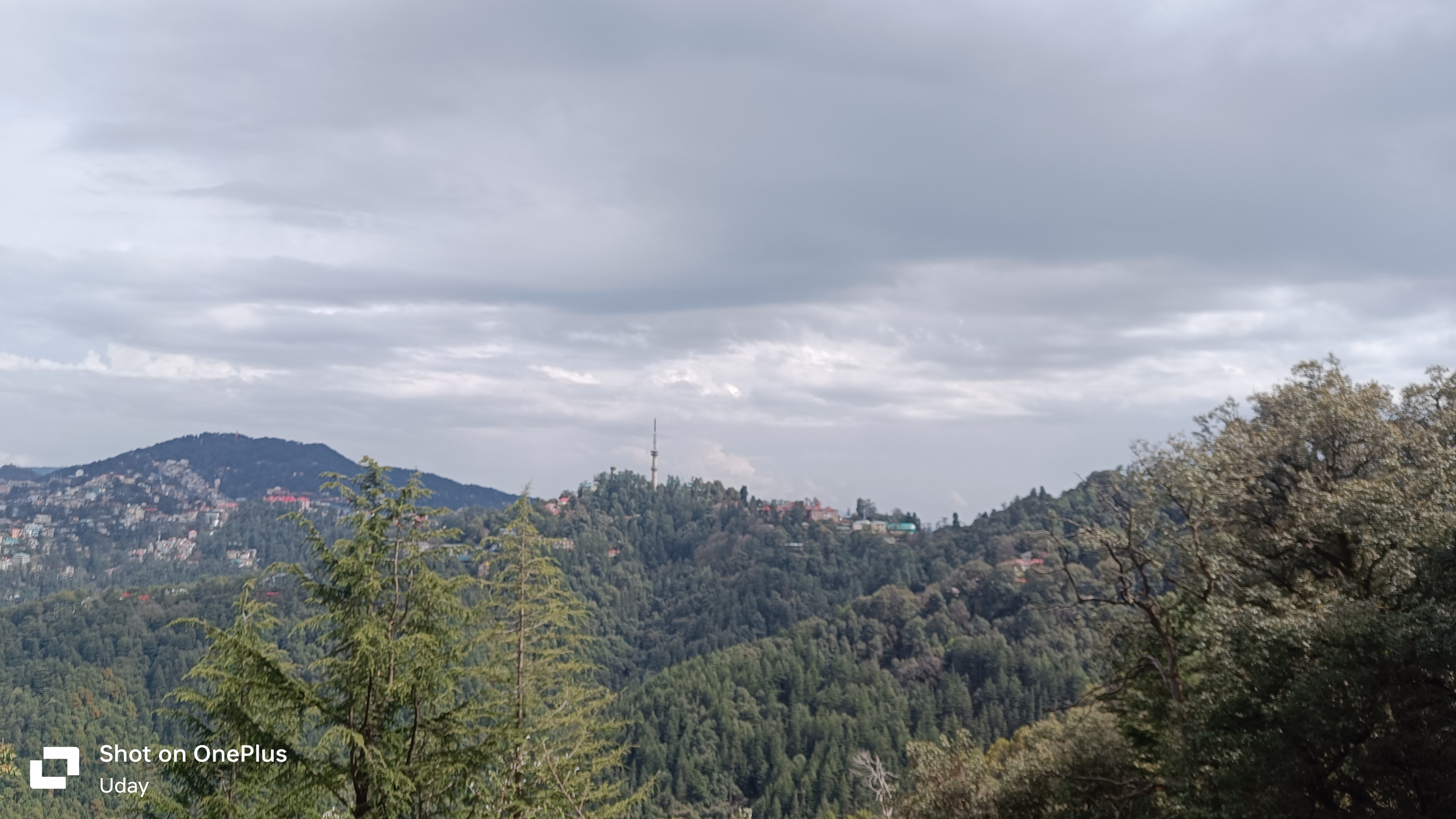 Shimla